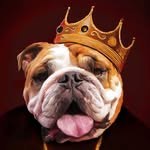 winstonthetruth profile picture
