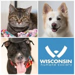 wischumane profile picture