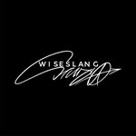 wise.slang profile picture