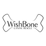 wishbonecaninerescue profile picture