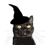 witchcitykitty profile picture