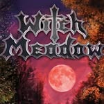 witch_meadow profile picture