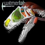 witmerlab profile picture