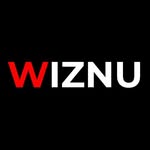 wiznuforhair profile picture