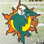 wkdflagfootball profile picture