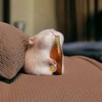 wokeupfluffy profile picture