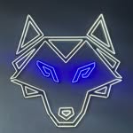 wolffitnessstudio profile picture