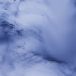 wolfgang_tillmans profile picture