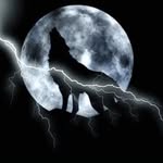 wolfofcroton profile picture