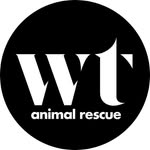 wolftrapanimalrescue profile picture