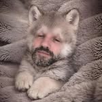 wolf_vein profile picture