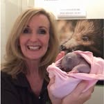 wombats_and_wildlife_heljan09 profile picture