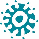 womensearthalliance profile picture