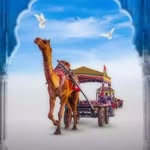 wonderful_rajasthan profile picture