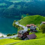 wonderful_swiss profile picture
