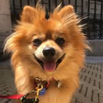 wontyoubemybuddy profile picture