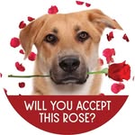 woodshumanesociety profile picture