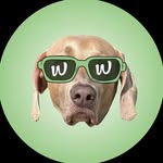 woofinc_cr profile picture