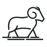 woolxwool profile picture