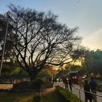 wordswithscenery_ profile picture