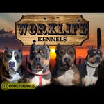 worklifekennels profile picture