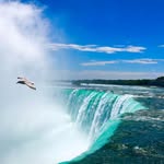 world._photography_ profile picture