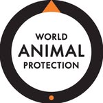 world_animal_protection profile picture