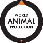 worldanimalprotectionus profile picture