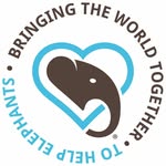 worldelephantday profile picture