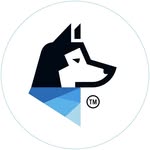worldplayground profile picture