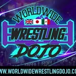 worldwidedojo profile picture