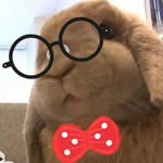worriedpotato profile picture