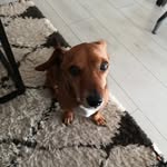 wouaffy74 profile picture