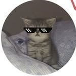wow_jeery profile picture
