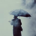 wrapped.nil profile picture