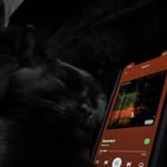 wrathofares2204 profile picture