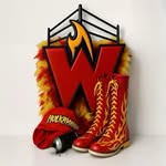 wrestlinginternetwork profile picture