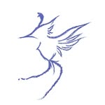 writer_ylk profile picture
