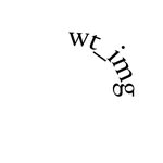 wt_img profile picture
