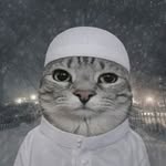 wtf_wrong_with_my_username profile picture