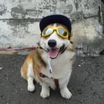 wuhaoan profile picture