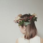 wunderblumen profile picture