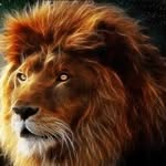 wweess123 profile picture