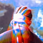 wyntonharvey profile picture