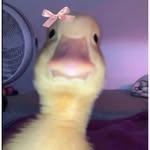 x.__.meerab profile picture