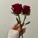 x.mele_n.x profile picture