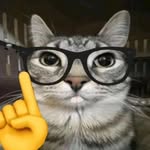 x7_645 profile picture