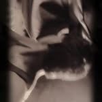 x__avinash__thakur__999 profile picture