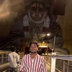 x__vivankoli profile picture