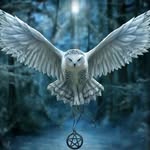 xgkh profile picture